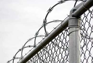 Razor Wire