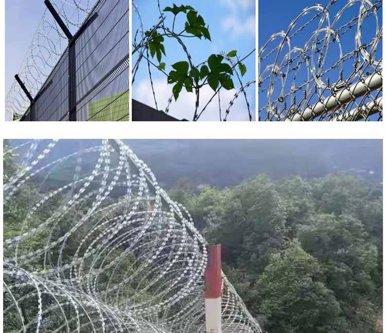 1742005928106197.jpg 1.2.jpg