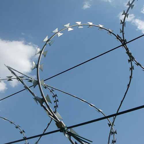 galvanized flat security fencing razor wire combat wire safety razor wire